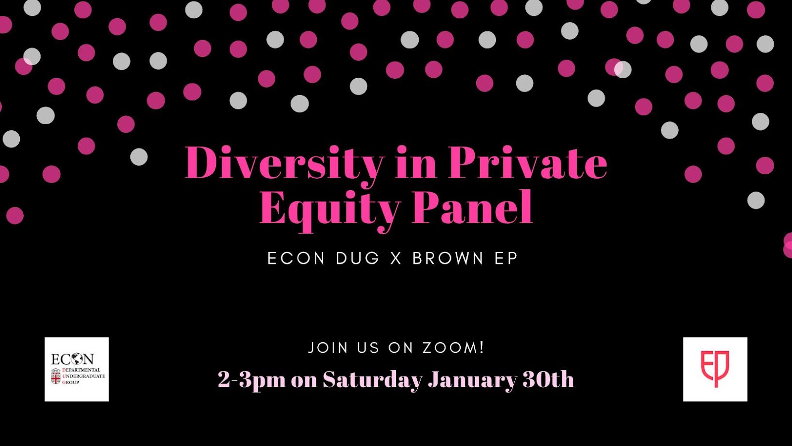 Diversity in Private Equity Panel